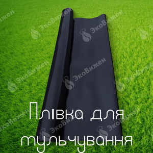 ����� �������. ������. - ����������� 1