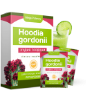 ������� � ����������: ����� ������� - ������ � ������ ����