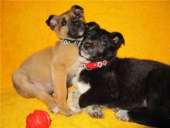 ����� ������� ������, �������� � ������� �����. �������� �������� - �������/�������