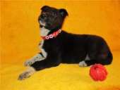 ����� ������� ������, �������� � ������� ����� - ����������� 2