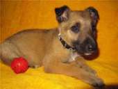 ����� ������� ������, �������� � ������� ����� - ����������� 3