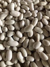 ����� ������� �������, ������ ���. - ����������� 1