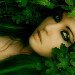 ����� ������� �������� �������� �� ����� � ������ �����, ����� ����������� �����,����������� �������,����� ����� - ����������� 1