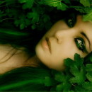 ������� � ����������: ����� ������� �������� �������� �� ����� � ������ �����, ����� ����������� �����,����������� �������,����� �����