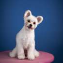 ����� �������. �������� �������� ����� � ���� - ����������� 3