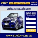������� � ����������: ����� ������� ��������� 2015 �����. Shelby