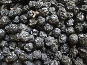 ����� ������� ���������. - ����������� 1