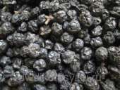 ����� ������� ���������. - ����������� 1