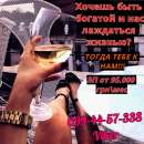 ����� ������� ��������� ��� �������. ������ ����� ������� - ������