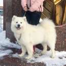 ����� �������. ���������� �����. - ����������� 3