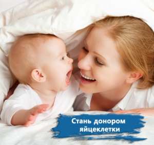 ����� ������� ���������� ������������. - ����������� 1