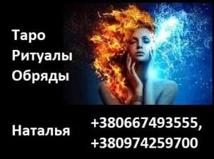 ����� ������� �����������. ������������. �������. �������. - ����������� 1