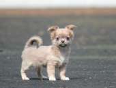 ����� �������� - ����������� 2