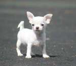 ����� �������� - ����������� 3