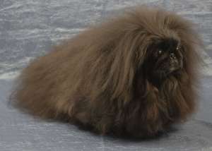 ����� �������� - ����������� 1