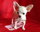 ����� �������� �� ������������ ��������� - ����������� 2