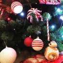 ������� � ����������: ����� �������� ��� ����