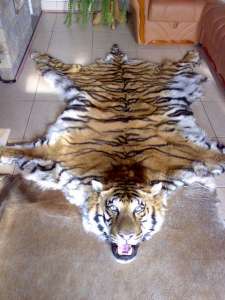 ����� �������� ��� ���������, ����������� - ����������� 1