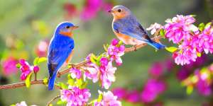 ����� �������� ��� ����������� � �����������. ������� ����, ��������� ���������, ����� ����� - ����������� 1