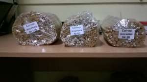 ����� �������� ����� - ����������� 1