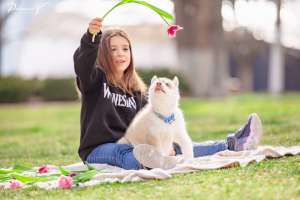 ����� �������� ����� - ����������� 1