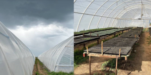 ����� �������� ����� � ��������� Vatan Plastik �������� - ����������� 1