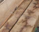 "����� �������� ����� ���� ����������� 52 �� - � �������!!!","� � ������� �� ������! - ����������� 2