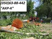 ����� �������� �����, �����, ���������� ������� - ����������� 2