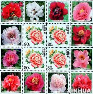 ����� �������� ����� ������ �������� �������� ������ ������� �������� ����� ���� ������� - ����������� 1