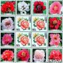 ������� � ����������: ����� �������� ����� ������ �������� �������� ������ ������� �������� ����� ���� �������