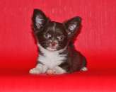 ������� � ����������: ����� �������� ����� ��������