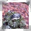 ������� � ����������: ����� �������� ������ �����