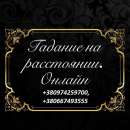 ������� � ����������: ����� ��������. ������ �����, �������� ���������, ����� ���������.