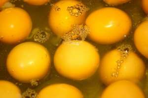 ����� �������� ������ ������ - ����������� 1