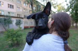 ����� �������� ������� - ����������� 1