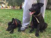 ����� �������� ������� - ����������� 3