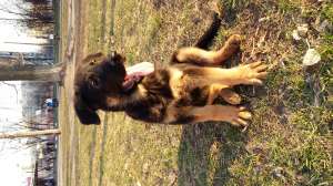 ����� �������� ������� - ����������� 1