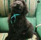 ����� �������� ������� ������� - ����������� 1