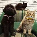 ����� �������� ������� ������� - ����������� 2