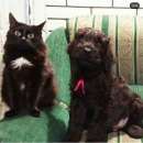 ����� �������� ������� ������� - ����������� 3