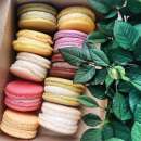 ������� � ����������: ����� �������� ������� �������, ������� ������� ����� ����, ������� �� 14 �������