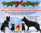 ������� � ����������: ����� �������� ������� �������� ����������