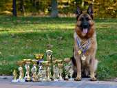 ����� �������� �������. ������������. � ������������. - ����������� 2