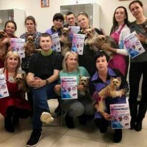 ����� ��������, �������� �������� ��������. ������ - ����������� 1