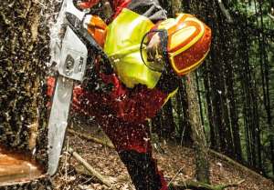 ����� ��������. �������� ��������� ��������.���� � �������� �������. - ����������� 1