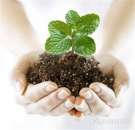 ����� ��������, ��������, ����������� �������. �������� - �������/�������