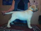 ����� �������� ���������.. �������� �������� - �������/�������