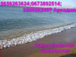 ����� �������� ���������� ������ ����� - ����������� 1