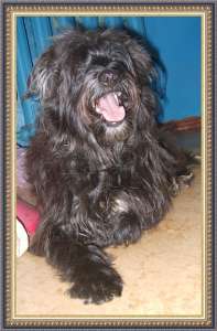 ����� - ��������, �������������� �����, ������� ���� ���! - ����������� 1