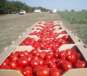 ����� ��������� - ����������� 1